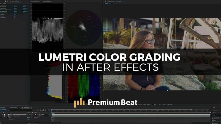 Color Grading Using the Lumetri Color Panels
