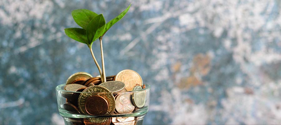 A potted plant surrounded by coins.