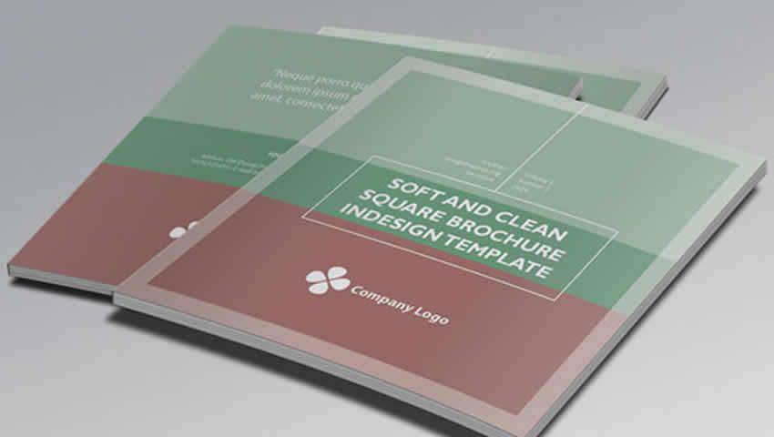 Soft Clean Square InDesign Brochure Template