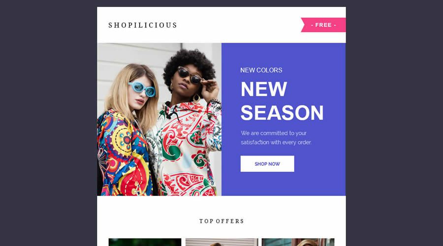 Shopilicious HTML free responsive newsletter template email